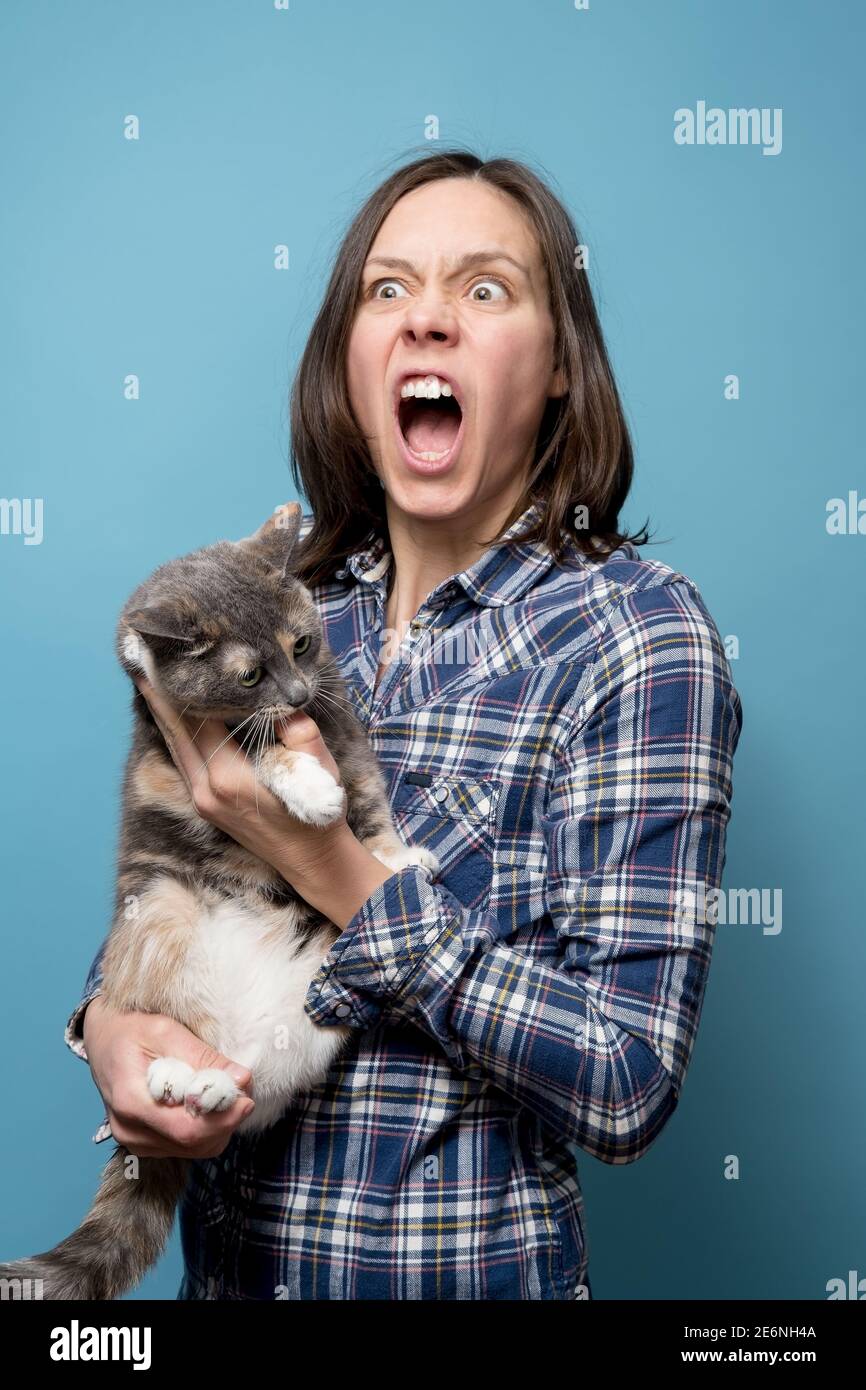 The woman is shocked and screams loudly, she is holding her beloved cat in her arms, which got angry and painfully bit her finger.  Stock Photo