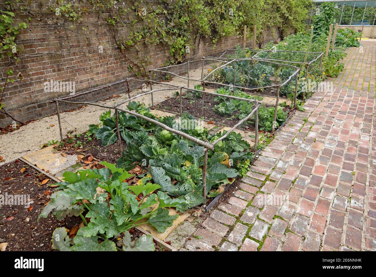 Vegetable Plots Divided Into Squares And Protected By A Framework Of Branches And Netting Stock Photo Alamy