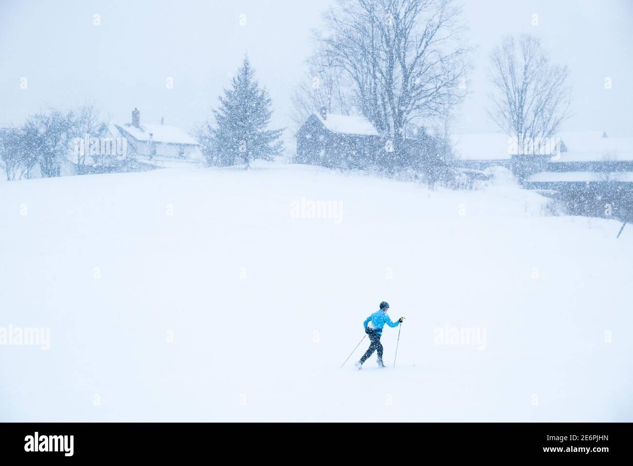 Cross country skiing in new snow, East Montpelier, VT, USA. Stock Photo