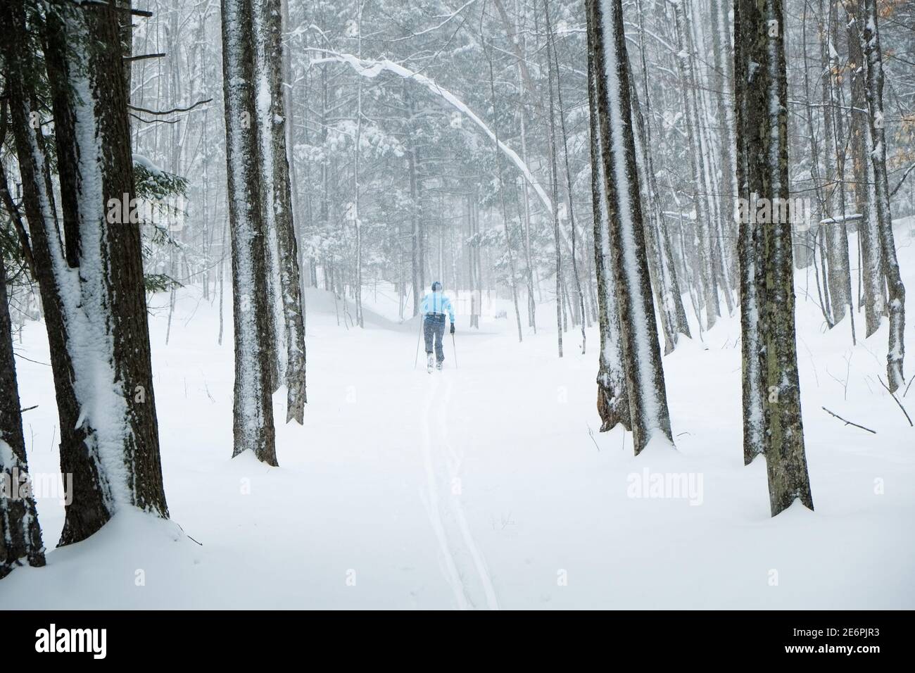 Cross country skiing in new snow, East Montpelier, VT, USA. Stock Photo