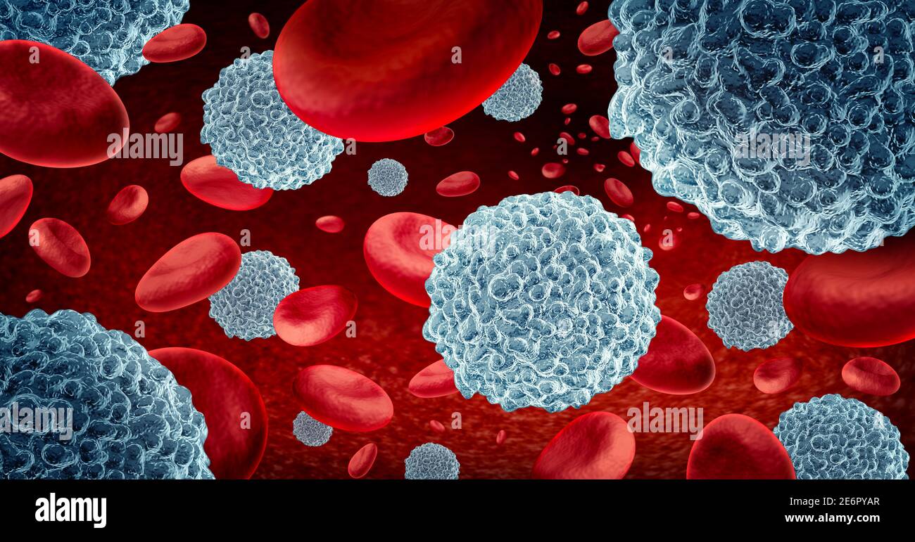 White blood cells and Immunotherapy lymphocyte cells with blood as a concept of the immune system through immunology as microscopic biology. Stock Photo