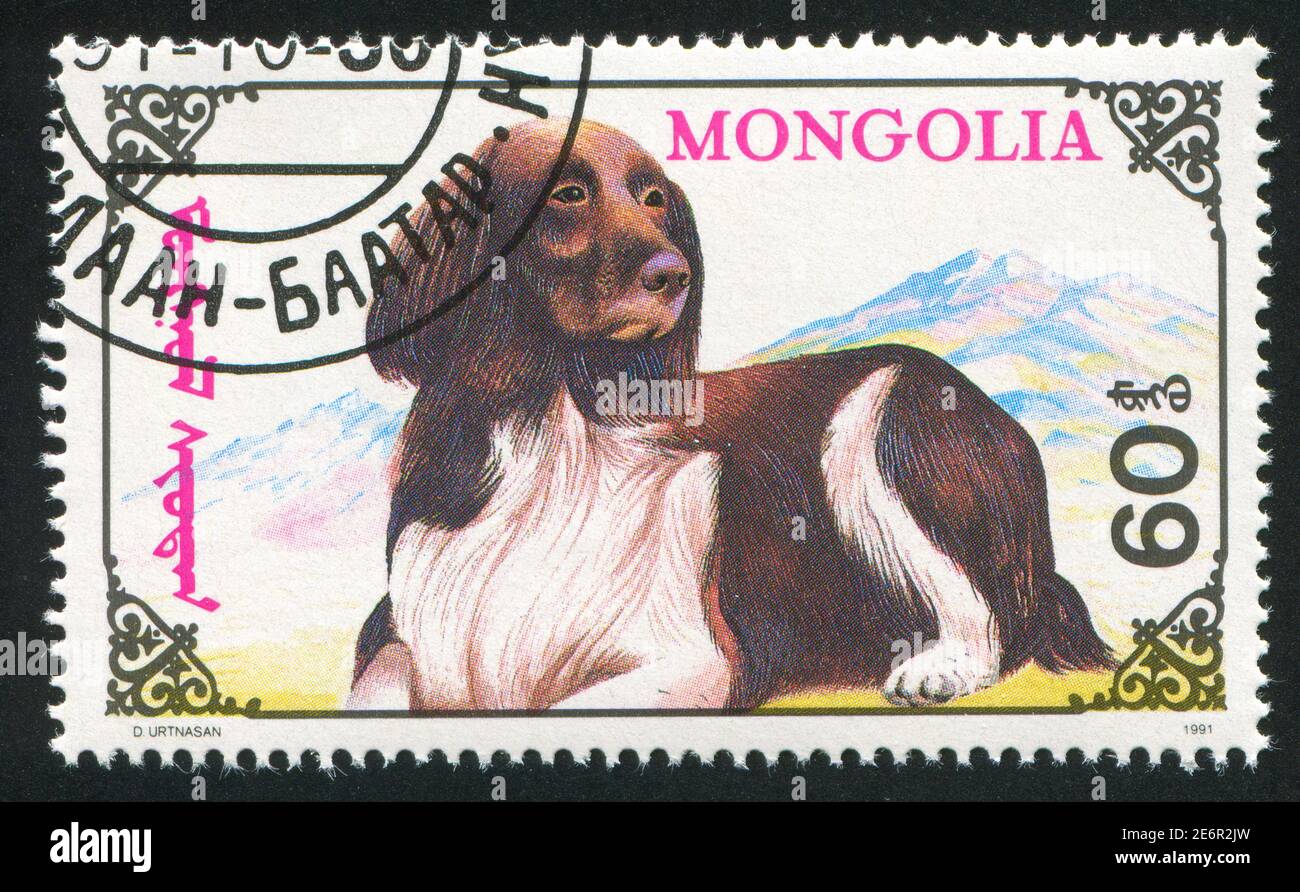 Mongolia - Circa 1991: Stamp Printed By Mongolia, Shows Dog, Circa 1991 