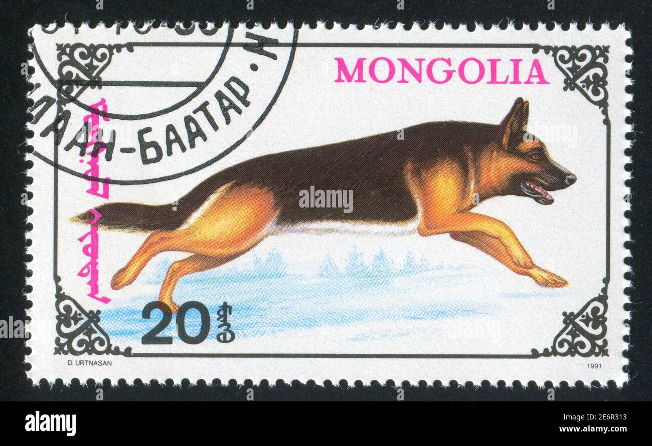 MONGOLIA - CIRCA 1991: stamp printed by Mongolia, shows shepherd dog ...