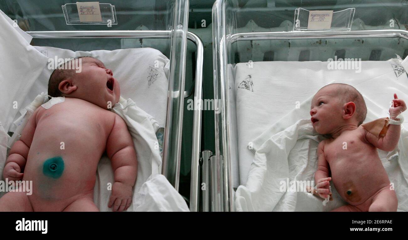 Baby girl Nadia (L), who weighed 7.75 kg (17.1 lbs) after birth, lies in a maternity ward in the Siberian city of Barnaul September 26, 2007. One Siberian mother has done more than her fair share to heal Russia's dire population decline. Tatyana Khalina shocked her husband by giving birth to a 7.75 kg (17.1 lbs) baby girl this month, her 12th child.   REUTERS/Andrey Kasprishin (RUSSIA) Stock Photo