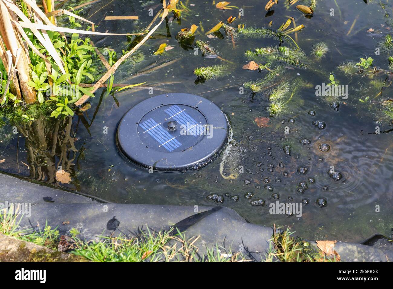 A solar powered pond aeration device, pond aeration kit, pond oxygenator, or aerator in a small domestic pond, England, UK Stock Photo