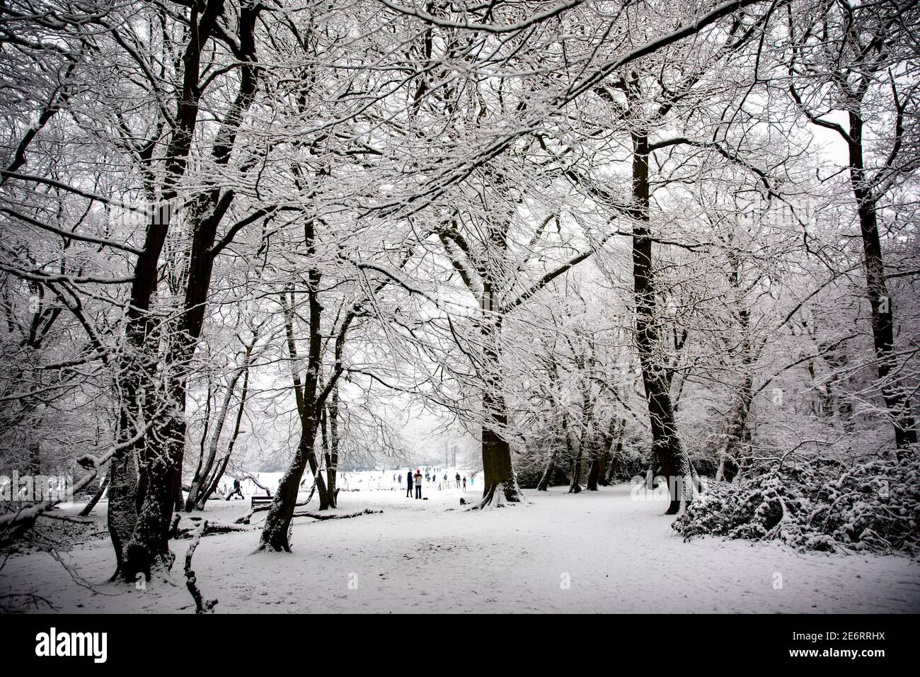 Pic shows: snow hits Highgate in North London 2021    picture by Gavin Rodgers/ Pixel8000 Stock Photo