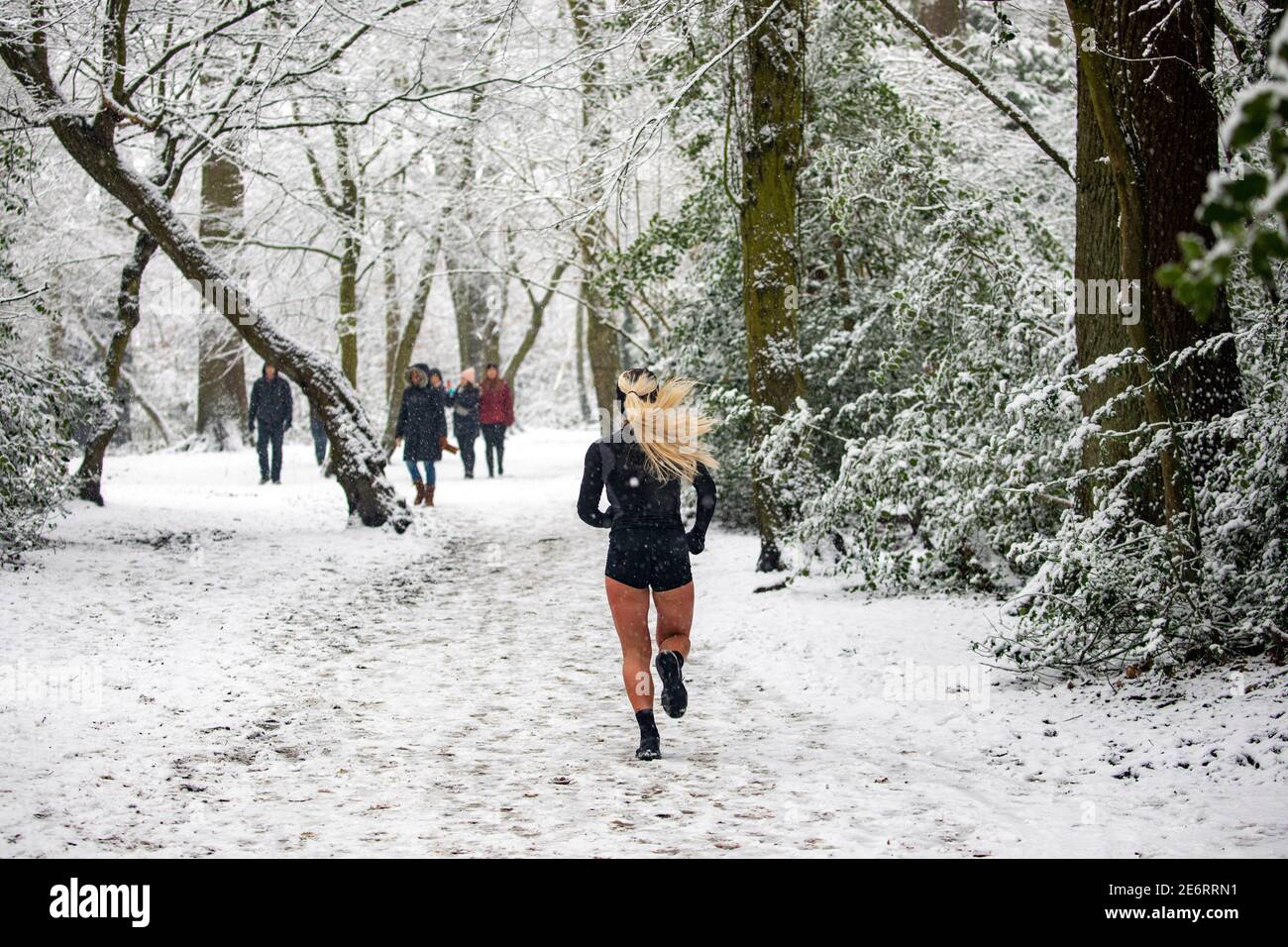 Pic shows: snow hits Highgate in North London 2021    picture by Gavin Rodgers/ Pixel8000 Stock Photo