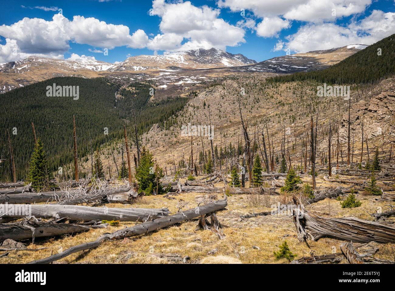 Landscape in the Mount Evans Wilderness, Colorado Stock Photo