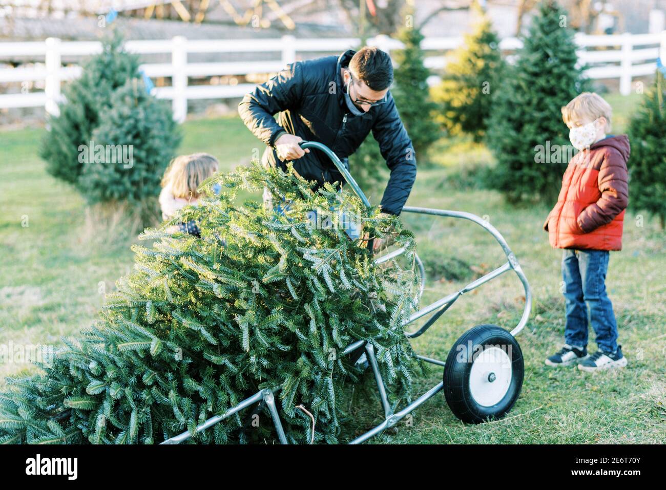 A millennial man and his children getting their Christmas tree at farm