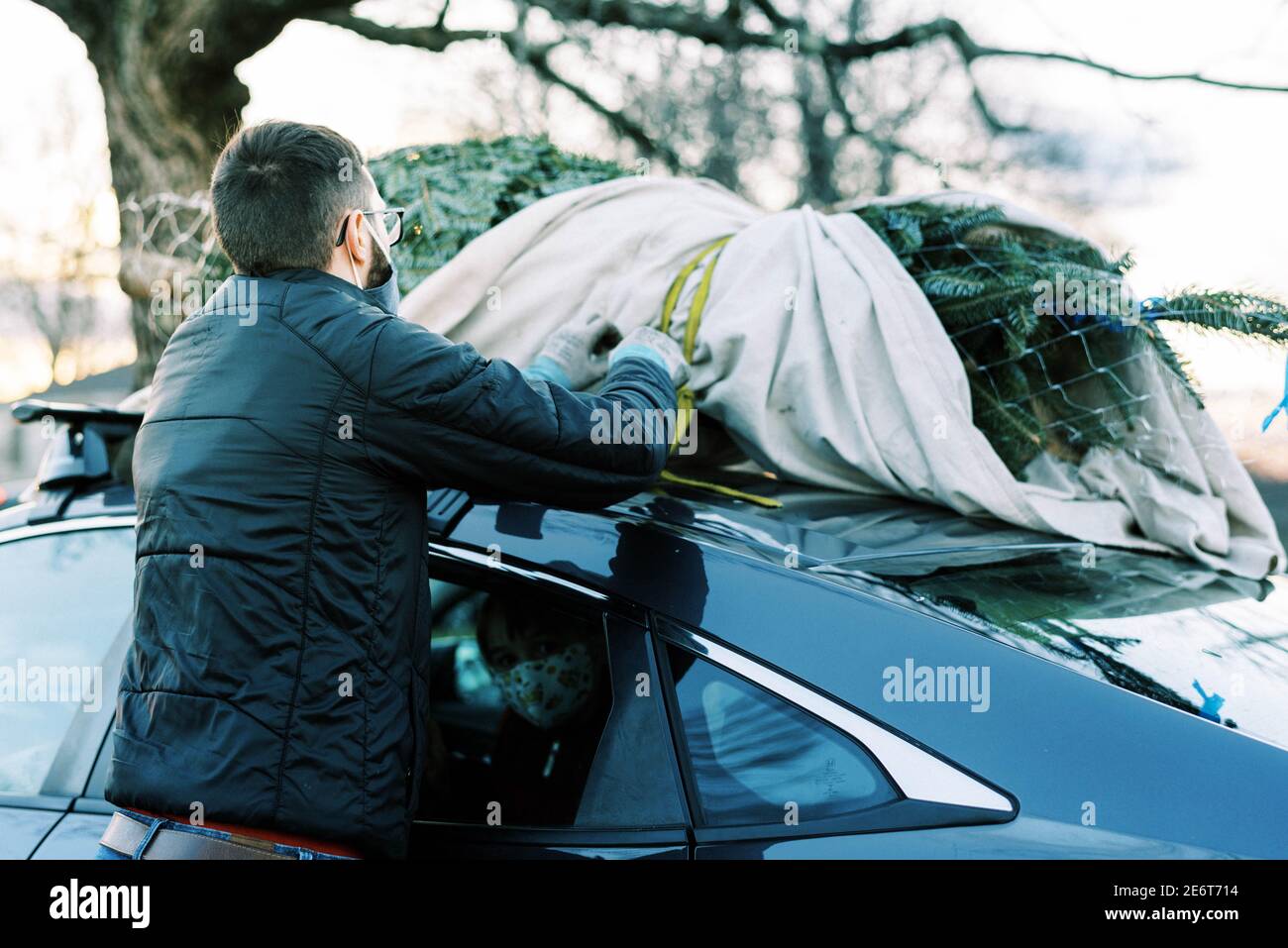 A young family father strapping Christmas tree to roof of sedan car