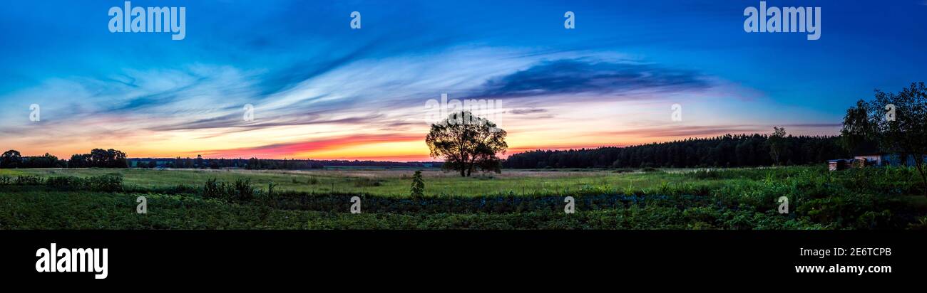 Beautiful sunrise over green field and single tree in a summer morning ...