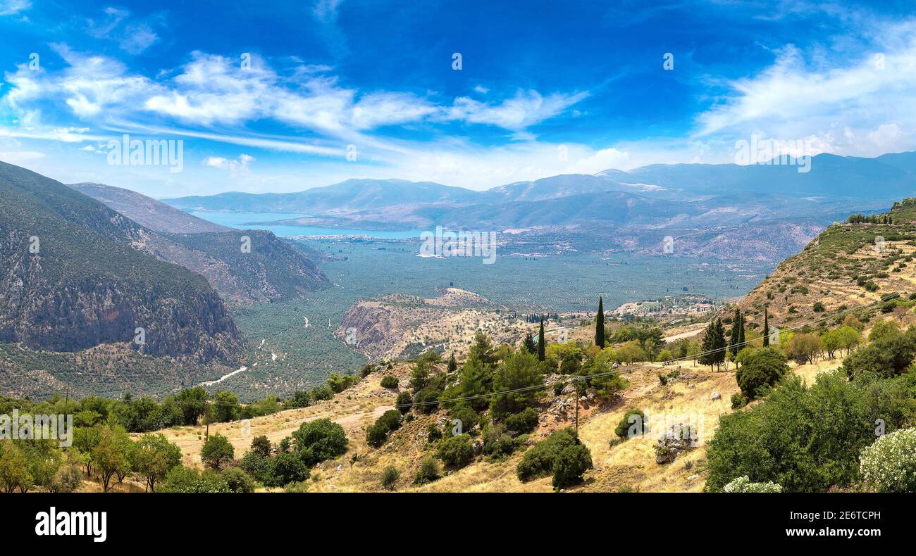Delphi olive groves hi-res stock photography and images - Alamy