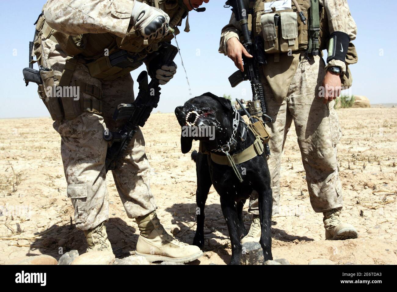 U s marine patrol afghanistan hi-res stock photography and images - Alamy