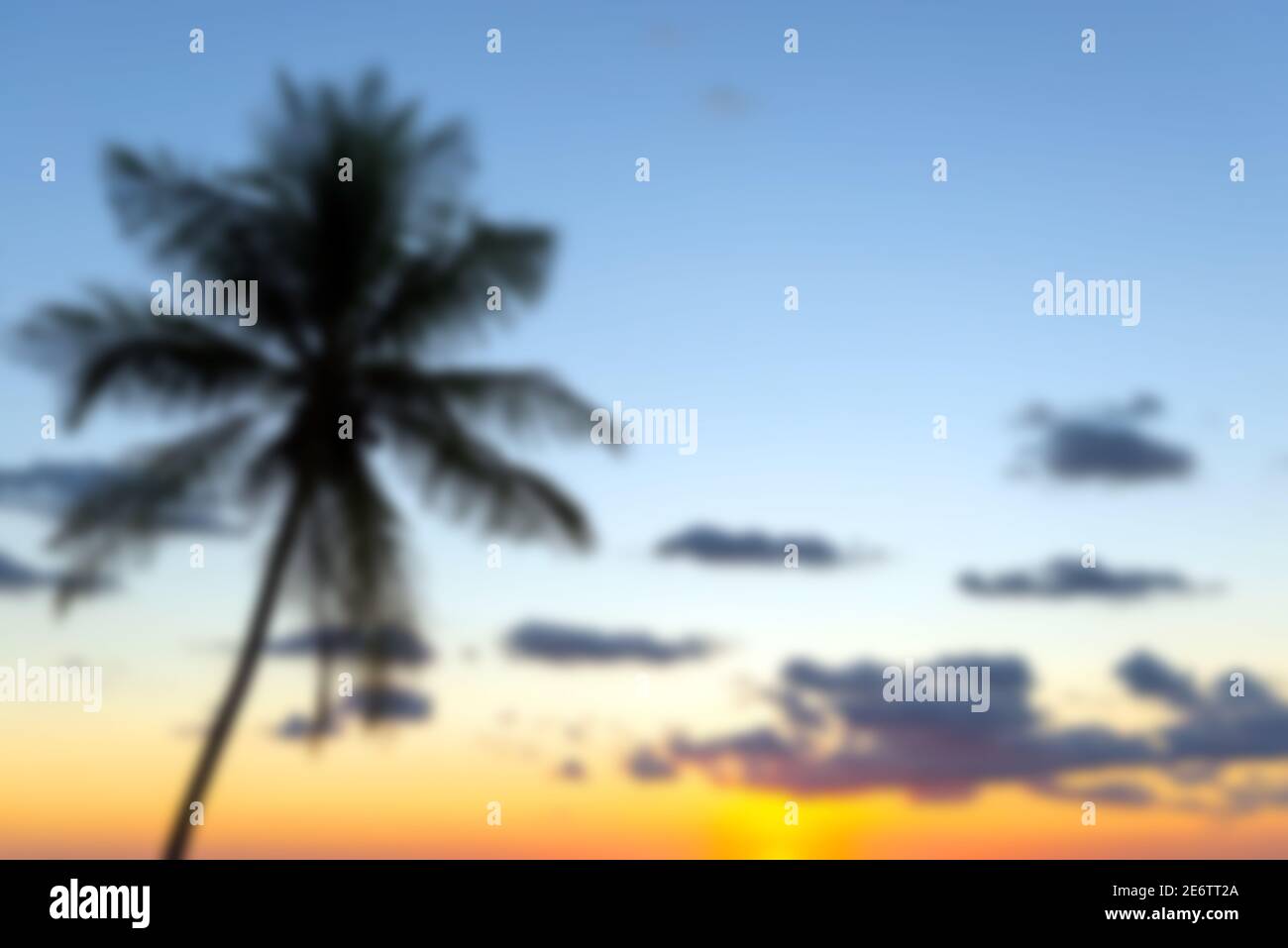 Blurred palm tree landscape at sunset with copy space, Costa Rica. Stock Photo