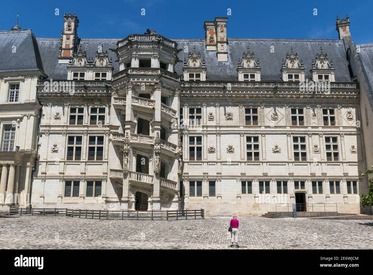 France, Loir et Cher, Blois, Loire Valley classified World Heritage by UNESCO, Loire Castles, Blois royal castle, facade of the lodges of the Fran?ois I wing Stock Photo