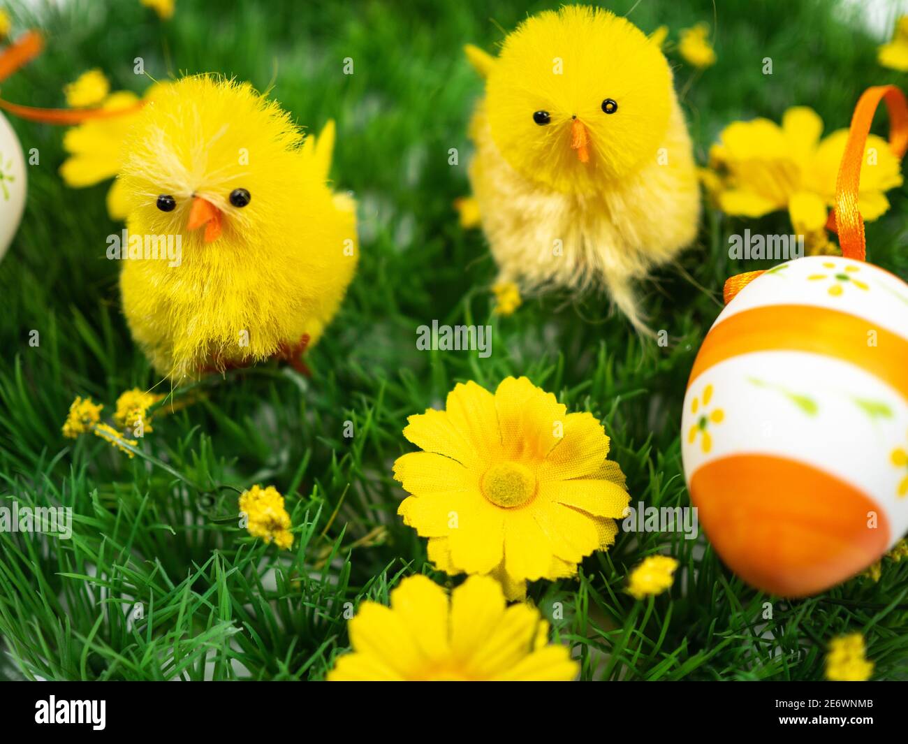 Easter composition. Chicks with egg and flowers on grass. Perspective view. Stock Photo
