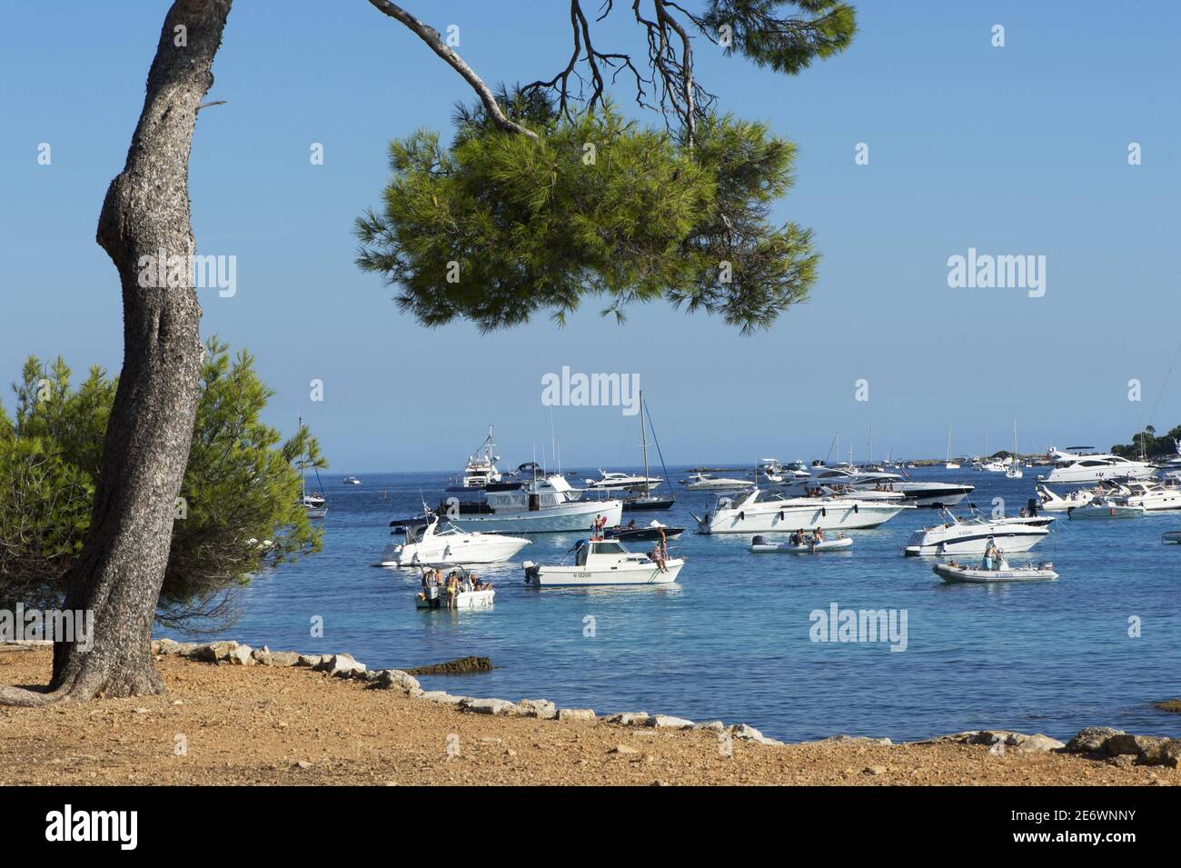 France, the Maritime Alps, Cannes, the islands of Lerins the island of Saint Margarita, many