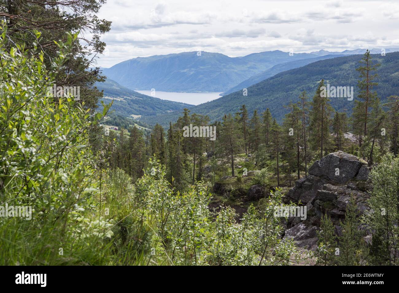Hiking in Trillemarka-Rollagsfjell Nature Reserve in Norway Stock Photo -  Alamy