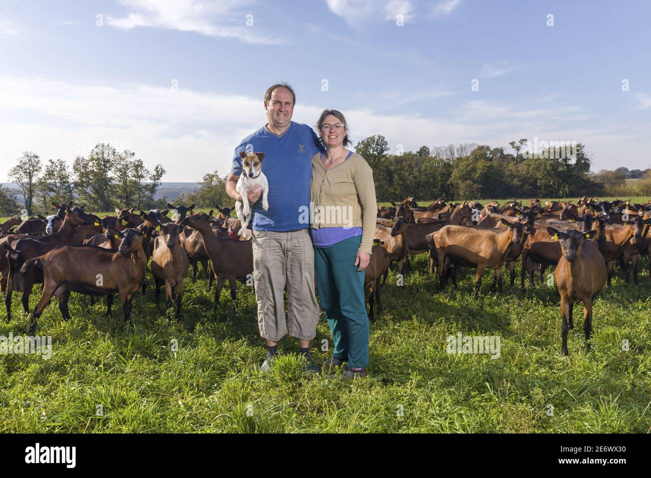 Loire valley goat cheese hires stock photography and images Alamy