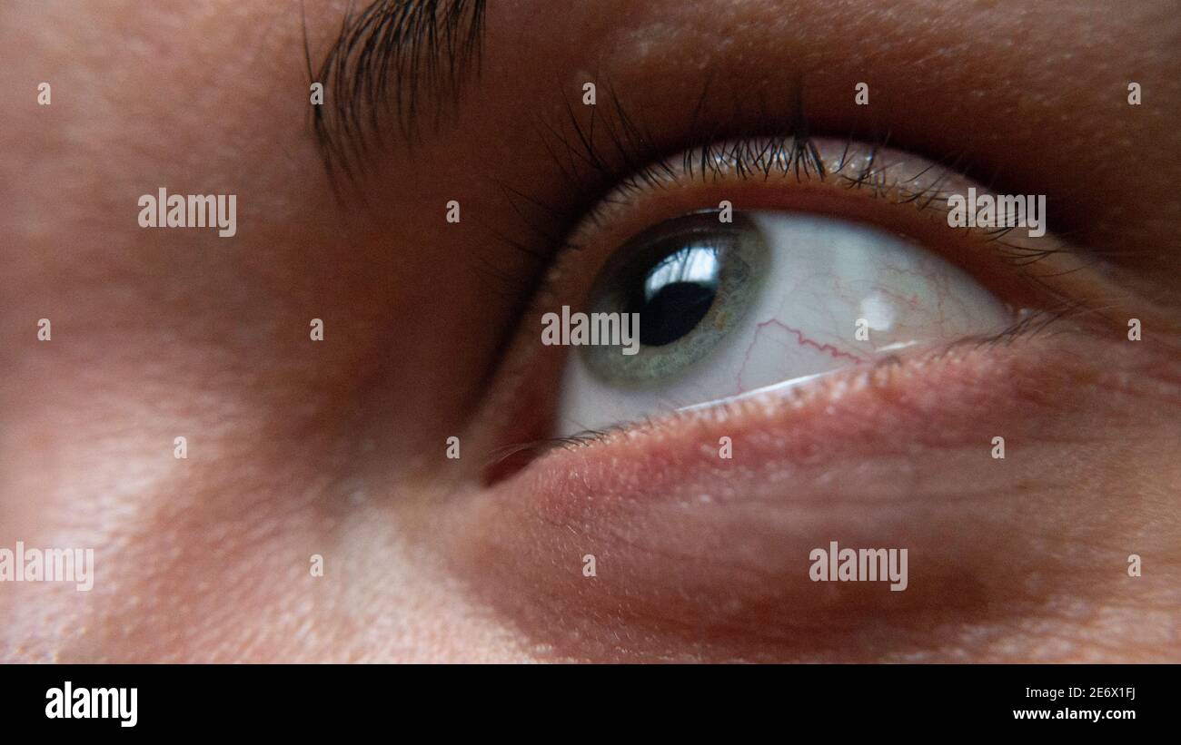The green human eye up close Stock Photo Alamy