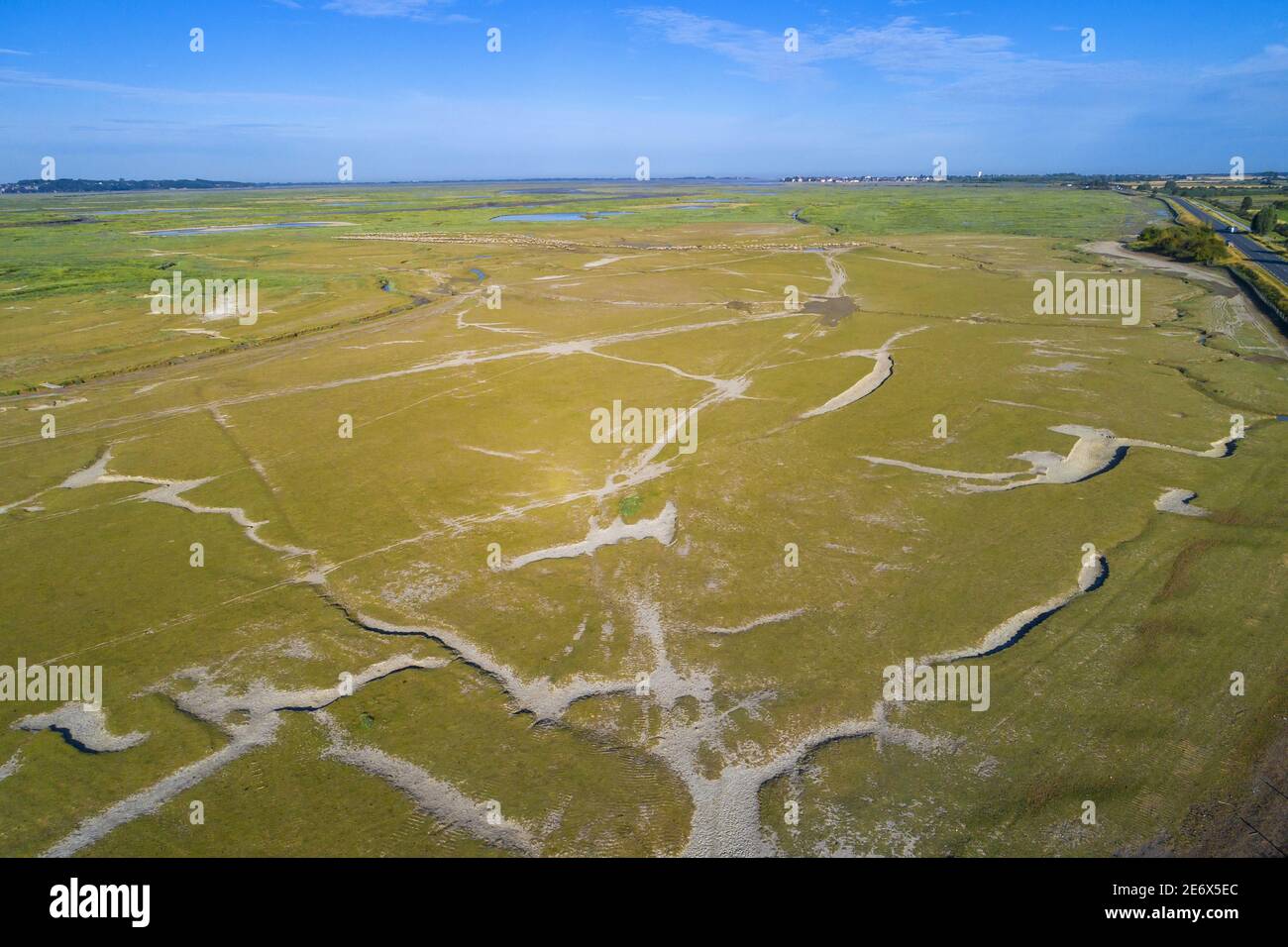 France, Somme, Baie de Somme, salt meadow sheeps on schorre (aerial view) Stock Photo