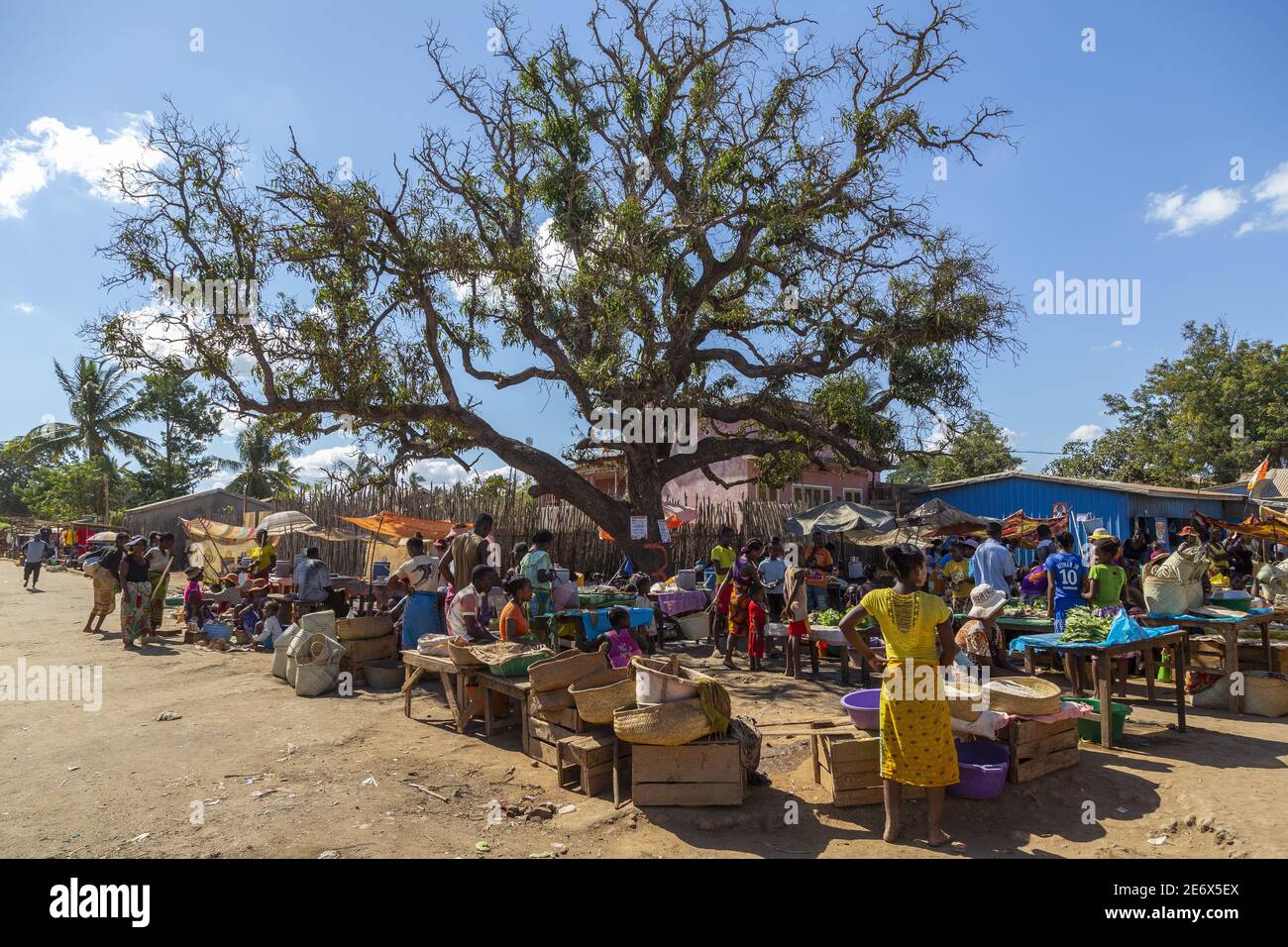Madagascar, Menabe region, Belo-sur-Tsiribihina, the market Stock Photo