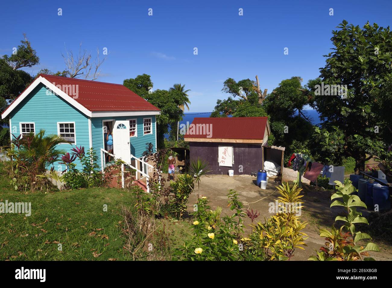 Caribbean, Dominica Island, Salybia, Kalinago Territory only Native