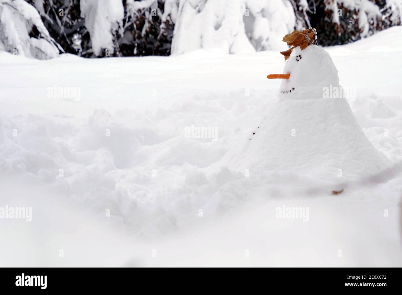 Snowman build in a garden covered with snow. It has nose made of carrot,  face of black buttons and a hat of dry leaves. Copy space. Stock Photo