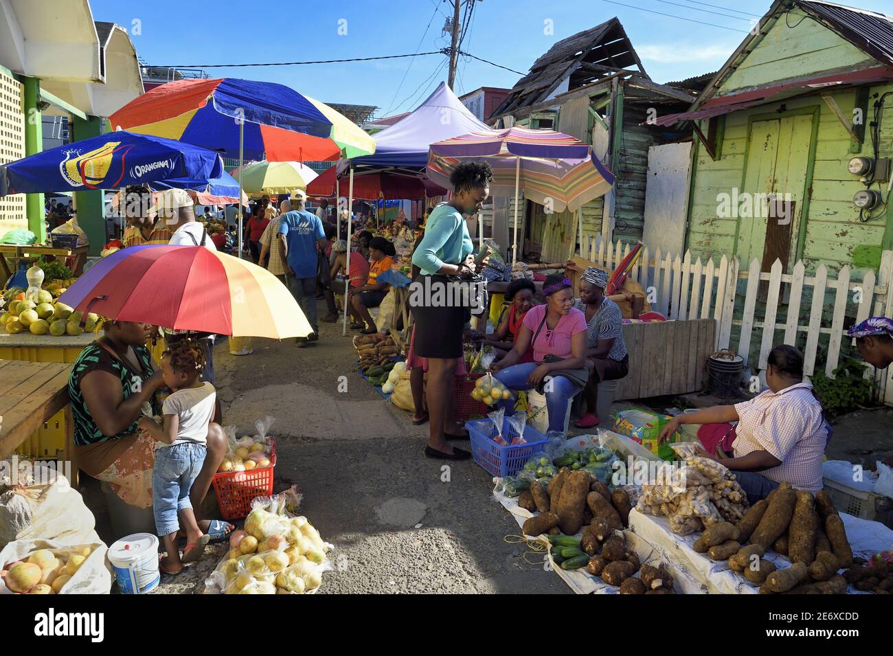Caribbean, Dominica Island, the capital city Roseau, fruit and