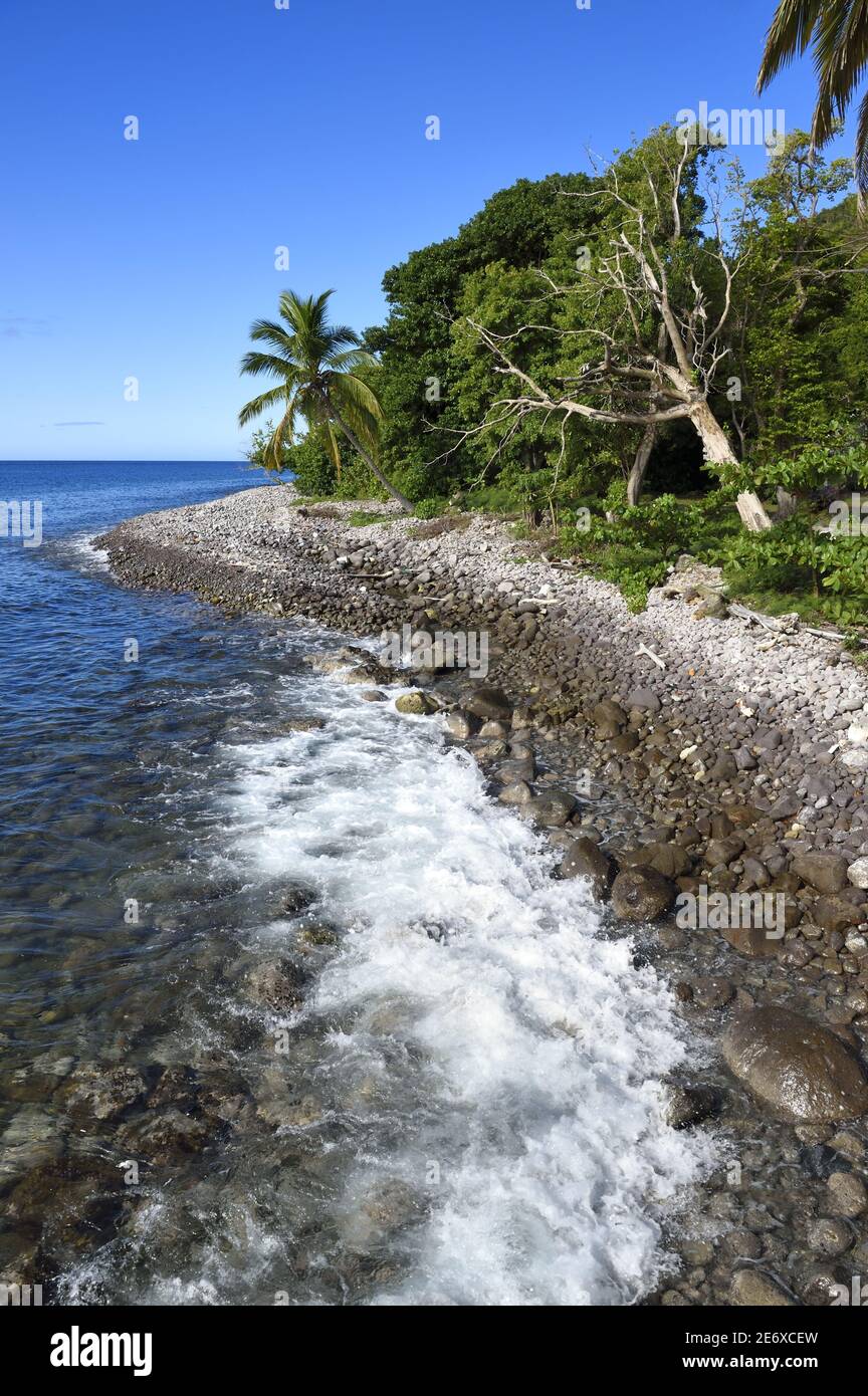 Caribbean, Dominica Island, Portsmouth, Prince Rupert Bay, pebble beach