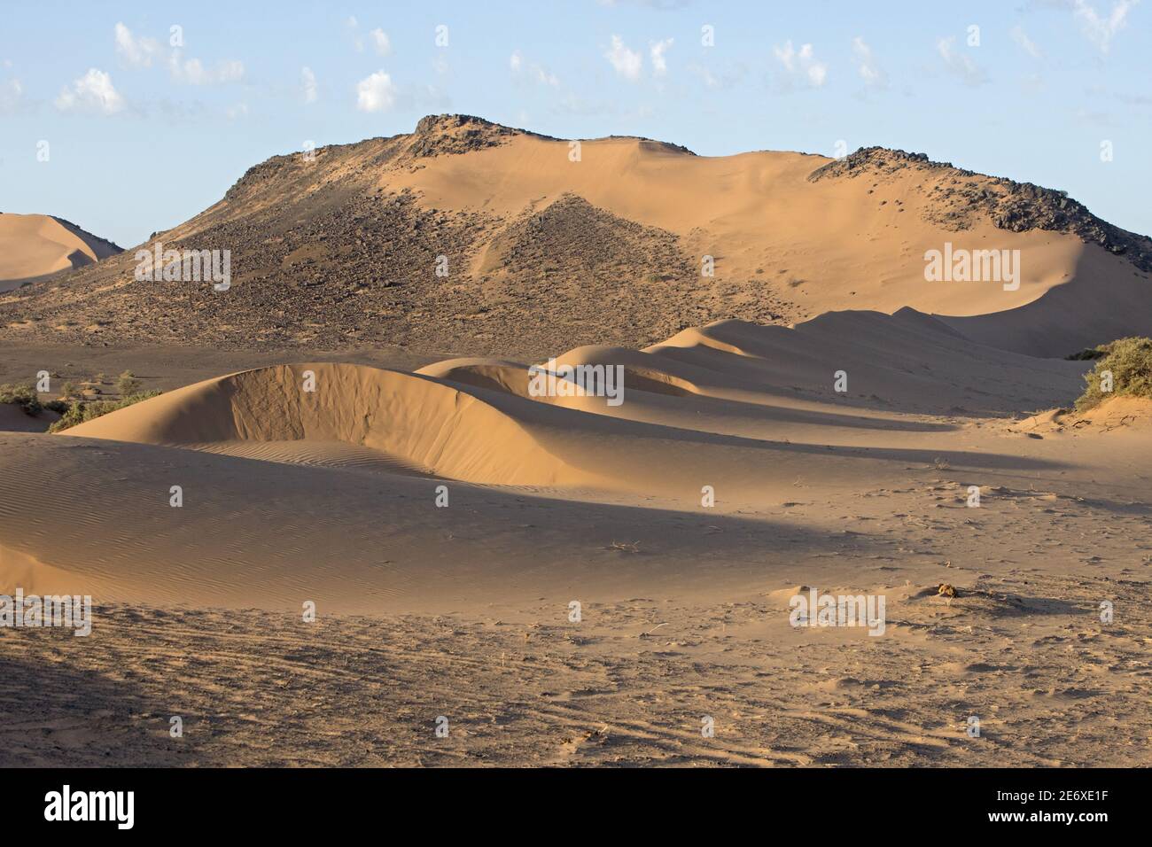 Namibia, Namib Desert, Huab river, Stock Photo