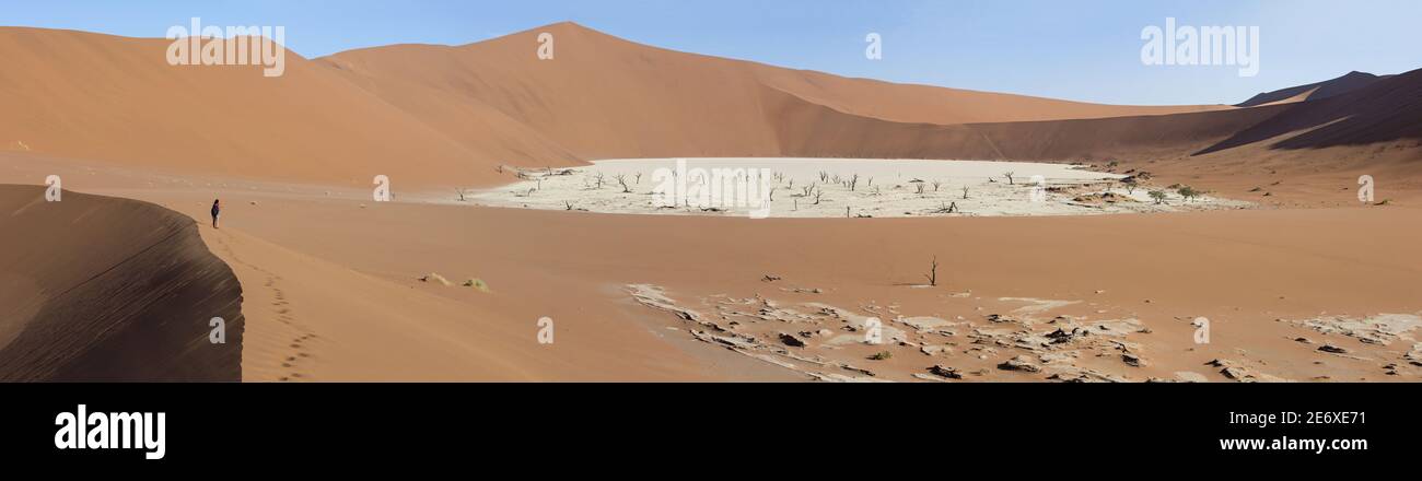 Namibia, Namib desert, Sesriem, Dead Vlei Stock Photo
