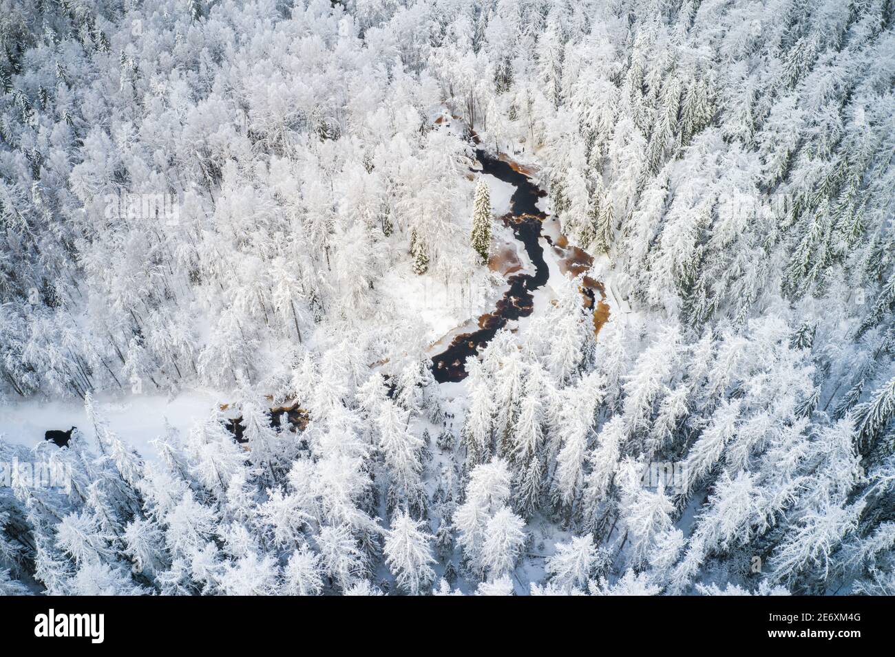 Beautiful  winter forest and river Stock Photo