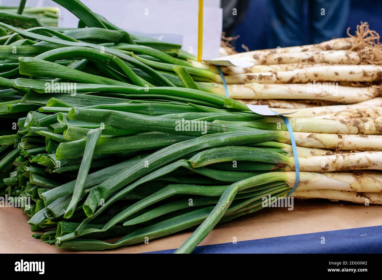 Traditional seasonal Holiday of spring onion 