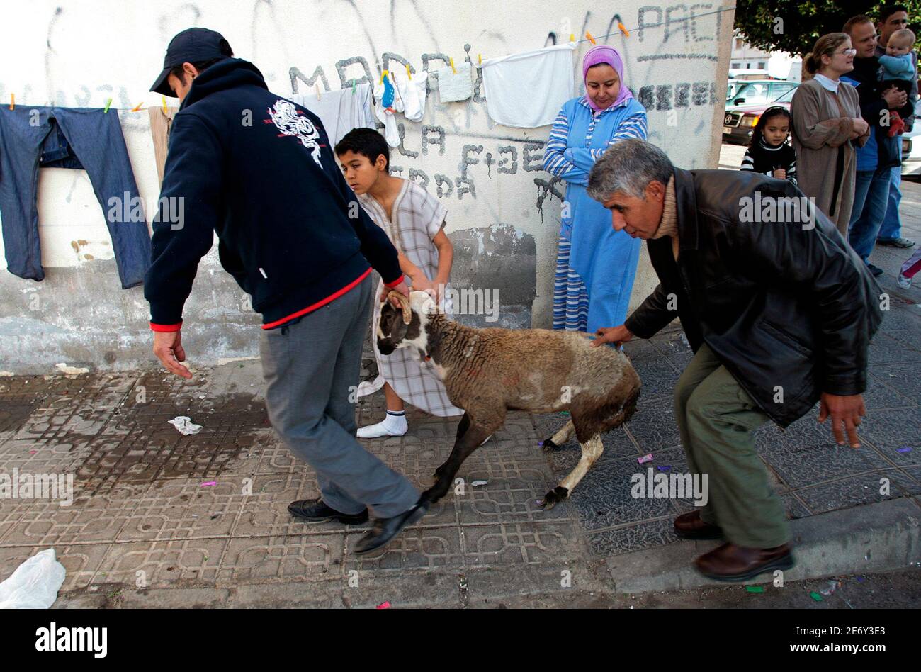 Muslims Take A Lamb To Slaughter In El Puche Neighborhood In Almeria Southeast Spain December 30 06 Muslims Around The World Celebrate Eid Al Adha By Slaughtering Sheep Goats And Cows To Commemorate Muslims Take A Lamb To Slaughter In El Puche Neighborhood In Almeria Southeast Spain December 30 06 Muslims Around The World Celebrate Eid Al Adha By Slaughtering Sheep Goats And Cows To Commemorate