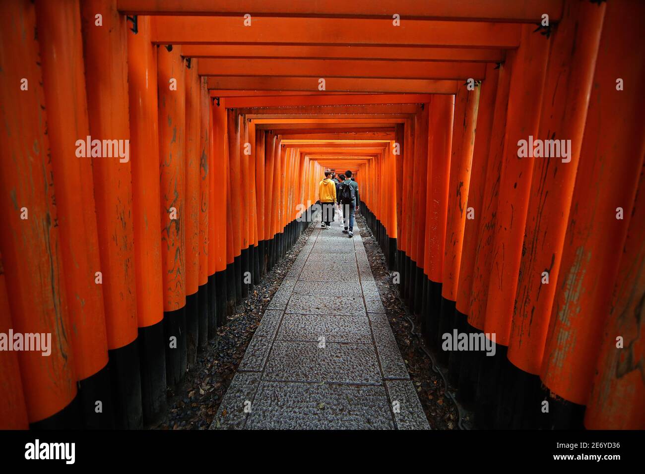 The red torii gates walkway path at fushimi inari taisha shrine the one ...