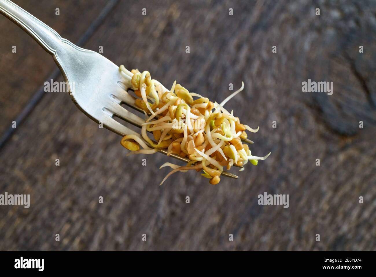 Fenugreek sprouts on a fork above a wooden background Stock Photo