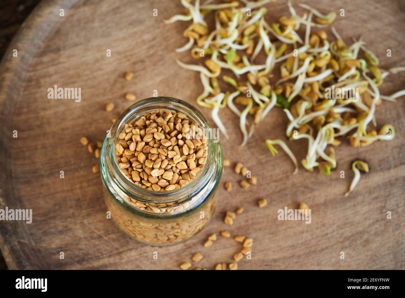 Dry fenugreek seeds in a glass, with fresh sprouts in the background Stock Photo