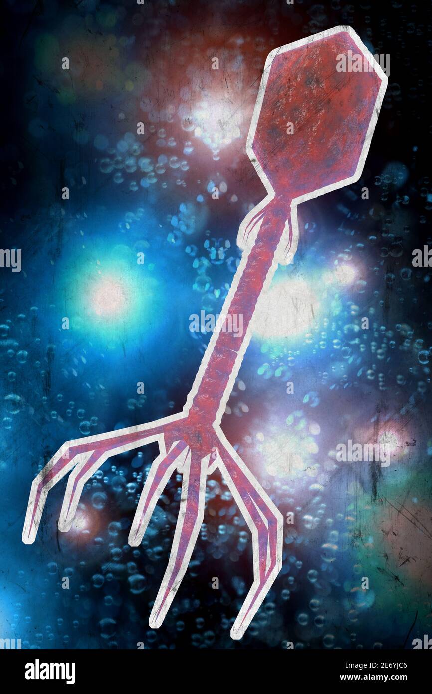 Closeup bacteriophage virus attacking bacteria cells 3D illustration ...