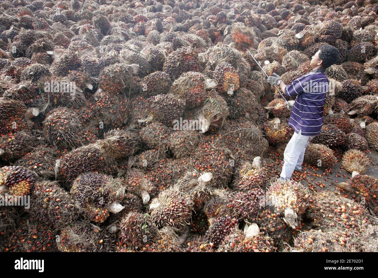 Dengkil High Resolution Stock Photography and Images - Alamy