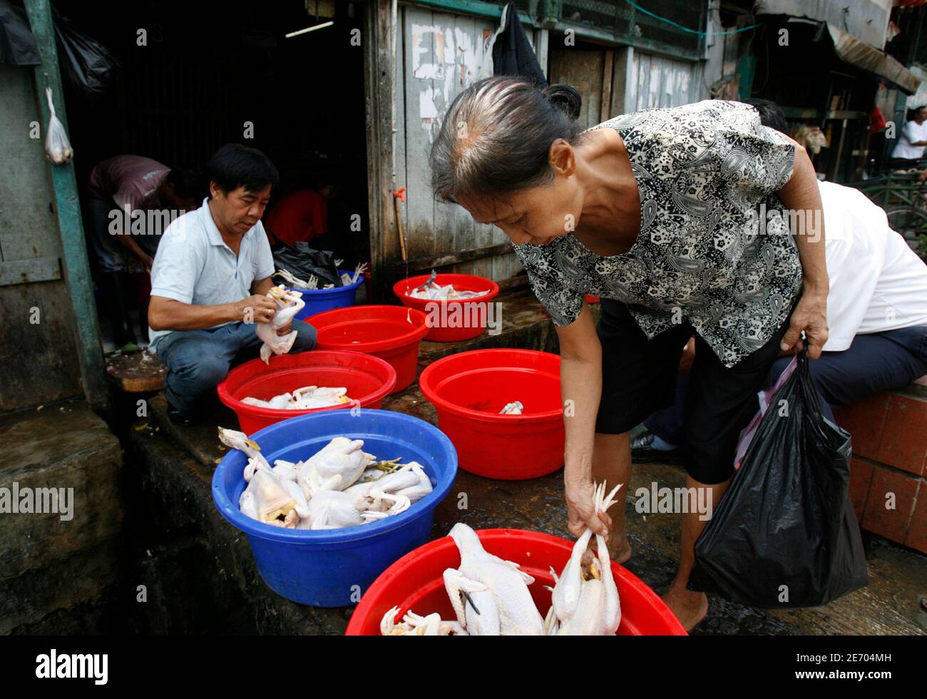 Woman Slaughtering Chickens Woman Slaughtering Chickens