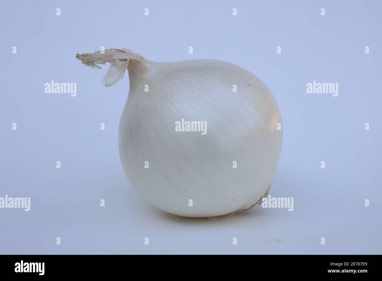 Close up of a beautiful white onion against a white background Stock Photo