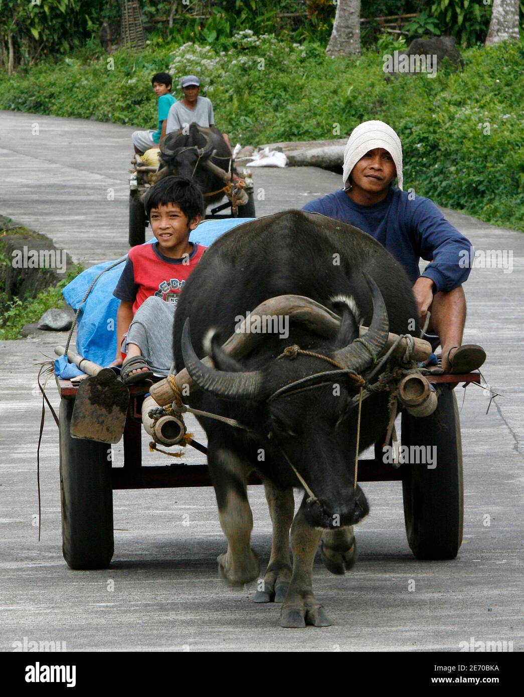 Carabao Cart High Resolution Stock Photography and Images - Alamy