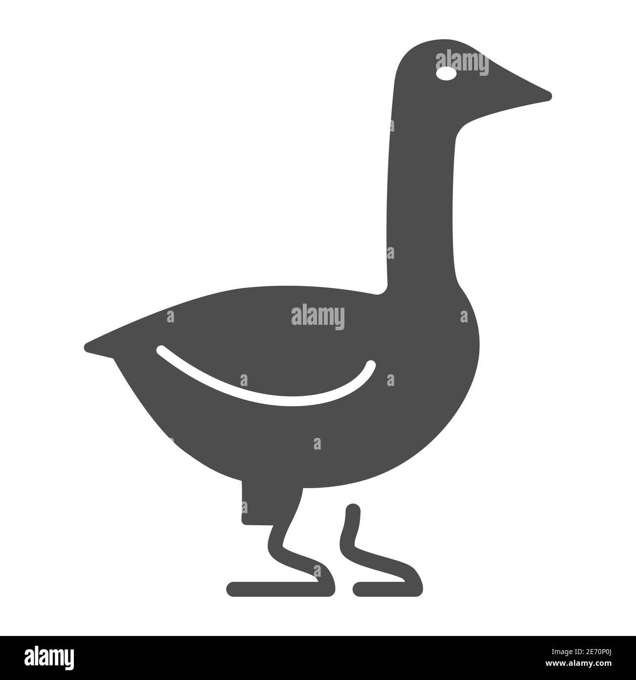 canada goose web designer