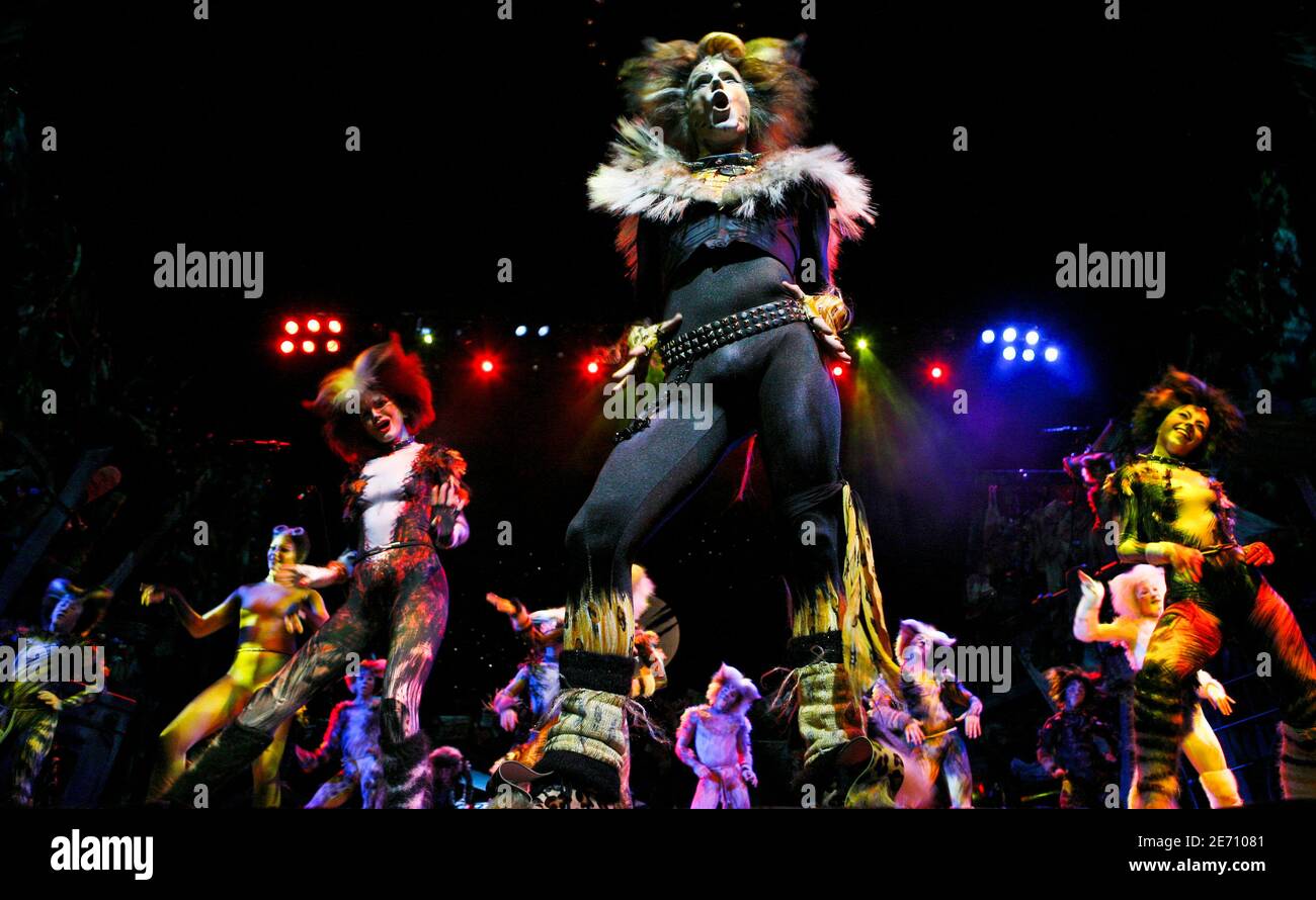 Rum tum tugger hires stock photography and images Alamy