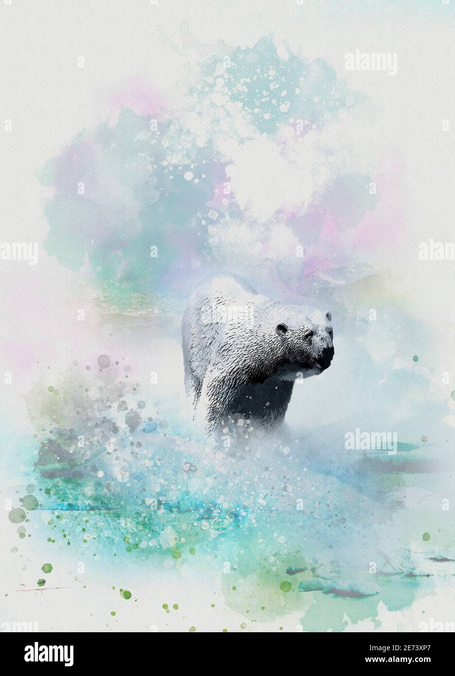 Polar bear, illustration Stock Photo