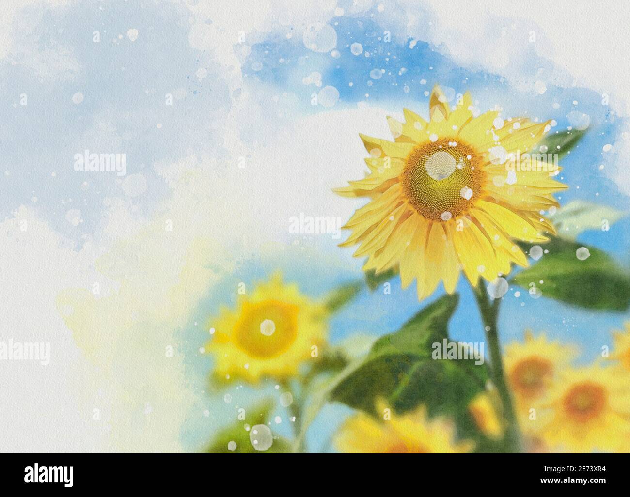 Sunflowers, illustration Stock Photo
