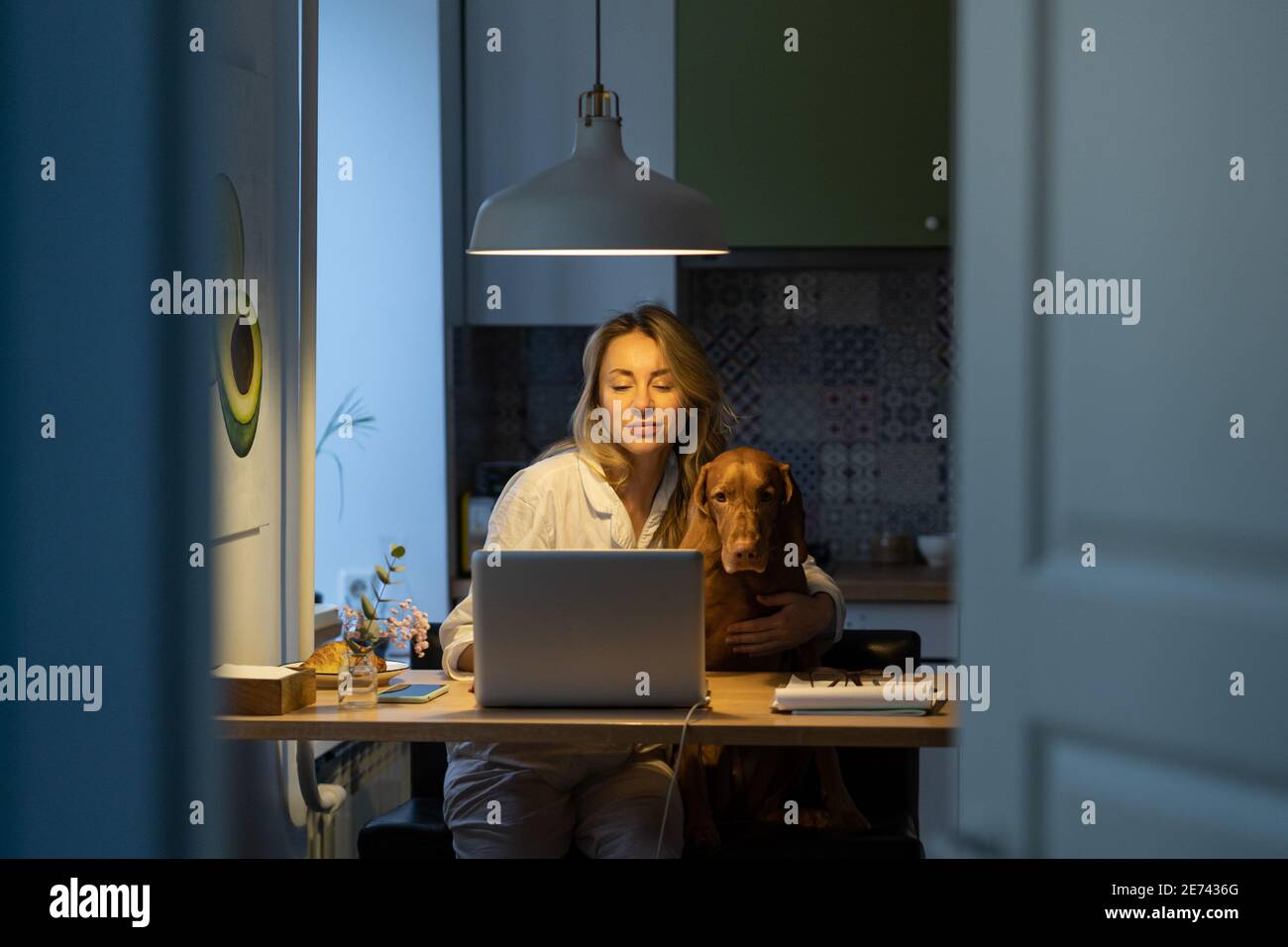 Woman in pajamas sitting with dog on chair at home remotely working at laptop during self-isolation Stock Photo