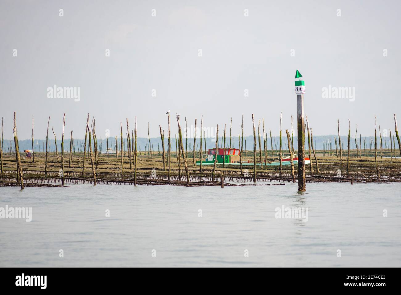 A colorful barge is lying on a sand bank among oyster traps in the Bassin d'Arcachon, Gironde, France Stock Photo