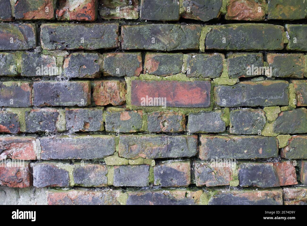 Wall texture hi-res stock photography and images - Alamy